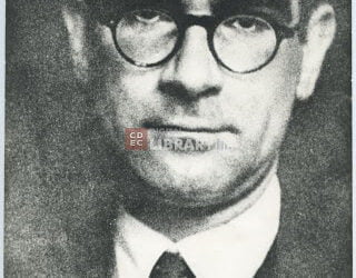 GINZBURG LEONE