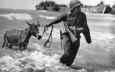 9 luglio 1943: la guerra secondo Piero