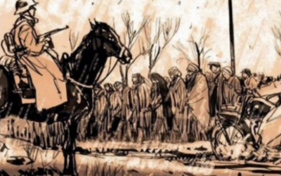 Con le graphic novel è tutta un’altra storia!