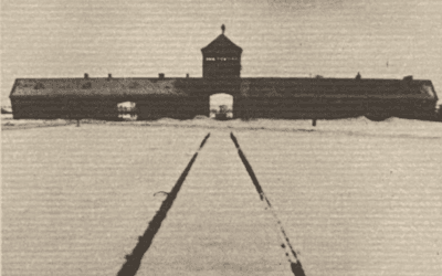 “Scrissi senza respiro, per giustificare la mia sopravvivenza”